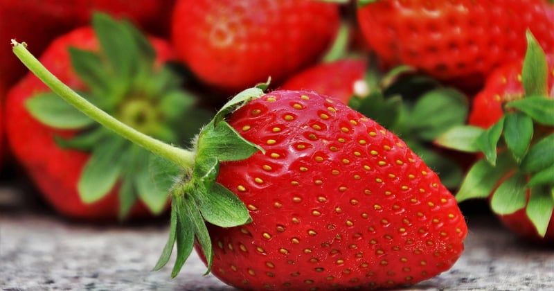 15 desserts gourmands aux fruits de saison qui vont faire fondre tout le monde