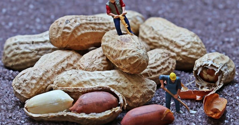 Recettes faciles pour étudiants avec petit budget : 15 idées à moins de 2 euros