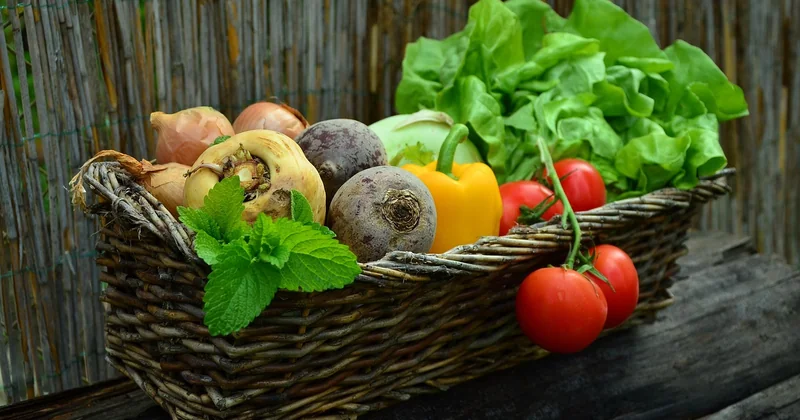 Les ingrédients qui rendent un dîner végétarien possible en 15 minutes